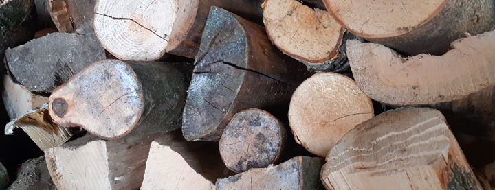 Kiln dried Logs